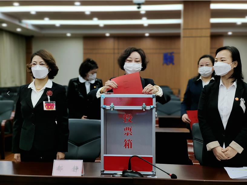 徐凤董事长参加辽宁省妇联十一届四次执委会议