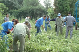 喜迎党的生日，模范带头活动，共建党群和谐