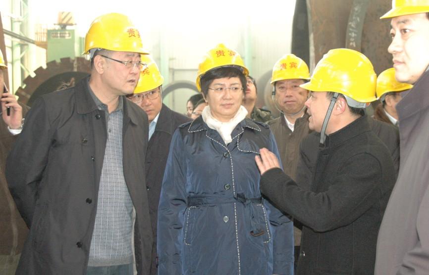 原抚顺市市长王桂芬等领导莅临大南新厂区参观考察