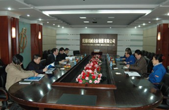 意大利德兴（TECHINT）公司莅临公司考察