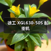 徐工 XGL630-50S 起重机