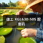 徐工 XGL630-50S 起重机