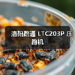 洛阳路通 LTC203P 压路机