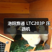 洛阳路通 LTC203P 压路机