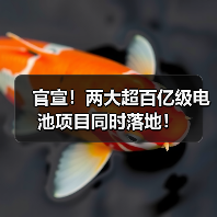 官宣！两大超百亿级电池项目同时落地！