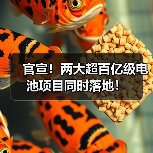 官宣！两大超百亿级电池项目同时落地！