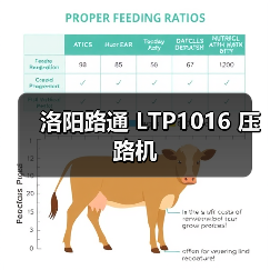 洛阳路通 LTP1016 压路机
