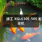 徐工 XGL630E-50S 起重机
