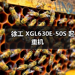 徐工 XGL630E-50S 起重机