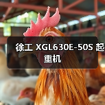 徐工 XGL630E-50S 起重机