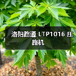 洛阳路通 LTP1016 压路机