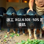 徐工 XGL630E-50S 起重机