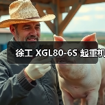 徐工 XGL80-6S 起重机