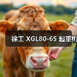 徐工 XGL80-6S 起重机