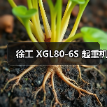 徐工 XGL80-6S 起重机