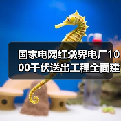 国家电网红墩界电厂1000千伏送出工程全面建成！