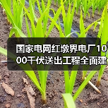 国家电网红墩界电厂1000千伏送出工程全面建成！