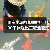 国家电网红墩界电厂1000千伏送出工程全面建成！
