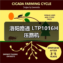洛阳路通 LTP1016H 压路机