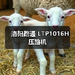 洛阳路通 LTP1016H 压路机