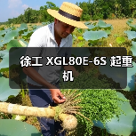 徐工 XGL80E-6S 起重机