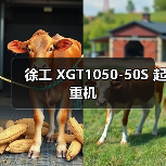 徐工 XGT1050-50S 起重机
