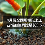 4月份全国规模以上工业增加值同比增长5.6%
