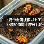 4月份全国规模以上工业增加值同比增长5.6%