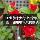工业前十大行业7个增长！四川电气机械增长25.7%