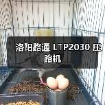 洛阳路通 LTP2030 压路机