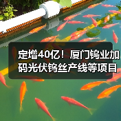 定增40亿！厦门钨业加码光伏钨丝产线等项目