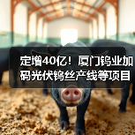 定增40亿！厦门钨业加码光伏钨丝产线等项目