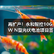 再扩产！永和智控10GW N型光伏电池项目签约