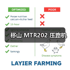 移山 MTR202 压路机