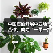 中国石油开展中亚油气合作，助力“一带一路”高质量建设