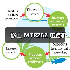 移山 MTR262 压路机