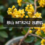移山 MTR262 压路机
