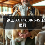 徐工 XGT1600-64S 起重机