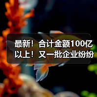最新！合计金额100亿以上！又一批企业纷纷中标大项目