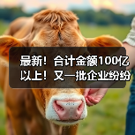 最新！合计金额100亿以上！又一批企业纷纷中标大项目