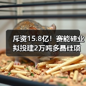 斥资15.8亿！赛能硅业拟投建2万吨多晶硅项目