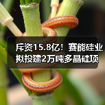 斥资15.8亿！赛能硅业拟投建2万吨多晶硅项目