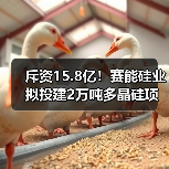 斥资15.8亿！赛能硅业拟投建2万吨多晶硅项目