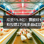 斥资15.8亿！赛能硅业拟投建2万吨多晶硅项目