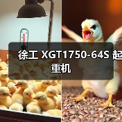 徐工 XGT1750-64S 起重机
