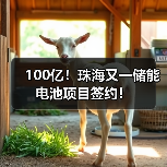 100亿！珠海又一储能电池项目签约！