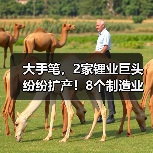 大手笔，2家锂业巨头纷纷扩产！8个制造业项目投建