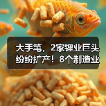 大手笔，2家锂业巨头纷纷扩产！8个制造业项目投建