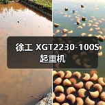 徐工 XGT2230-100S 起重机