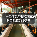 一季度免征新能源车辆购置税超212亿元